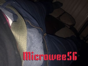 Microwee56
