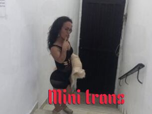 Mini_trans