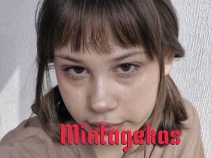 Mintagekas