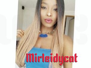 Mirleidycat