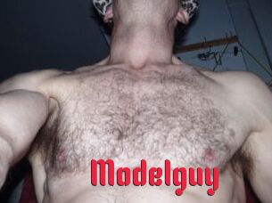 Modelguy
