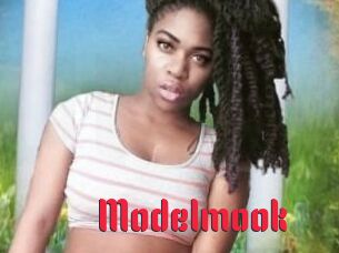 Modelmook
