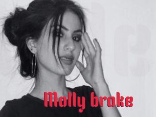 Molly_broke