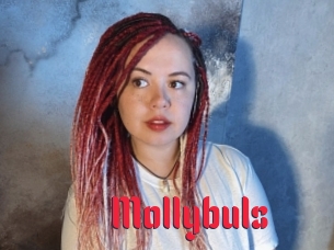 Mollybuls