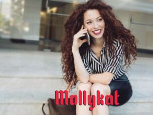 Mollykat