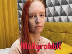 Mollyrabbit