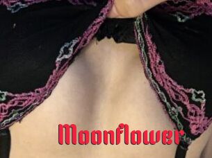 Moonflower