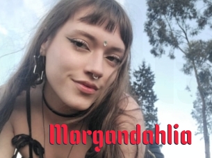 Morgandahlia