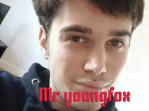 Mr_youngfox