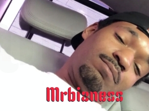 Mrbizness