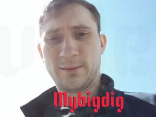 Mybigdig