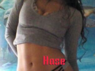 Hase