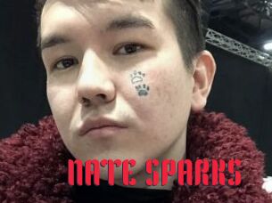 NATE_SPARKS