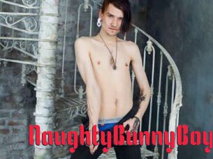 NaughtyBunnyBoy