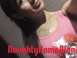 NaughtyHomeAlone