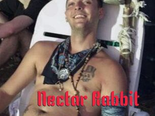 Nectar_Rabbit