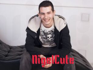 NigelCute