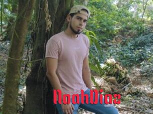 NoahDiaz