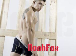 NoahFox