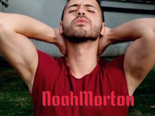 NoahMorton