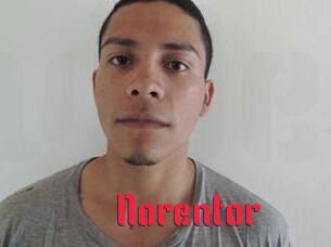 Noren_tor