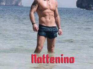 Nattenino