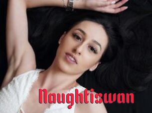 Naughtiswan