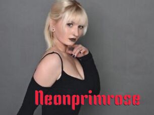 Neonprimrose
