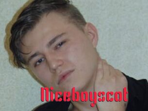 Niceboyscot