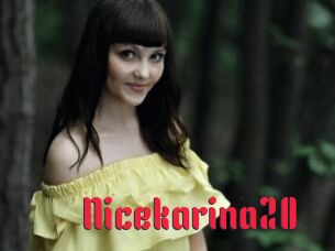 Nicekarina20