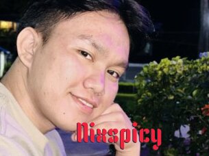 Nixspicy