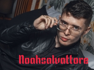 Noahsalvattore