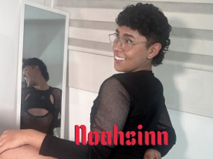 Noahsinn