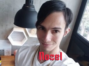Nozel