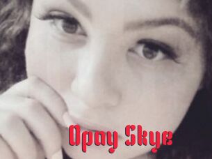 Opay_Skye