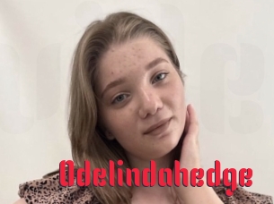 Odelindahedge