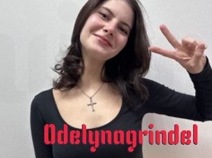 Odelynagrindel