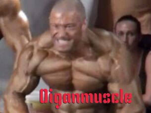 Oigan_muscle