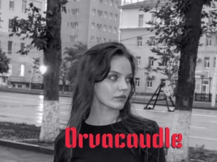 Orvacaudle