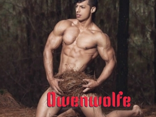 Owenwolfe
