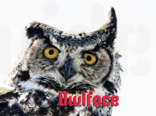 Owlface