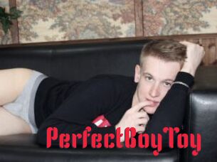 PerfectBoyToy