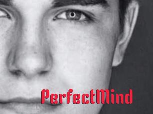 PerfectMind