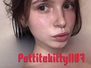 Pettitekitty1107