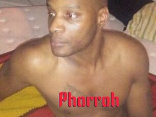 Pharroh