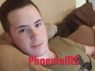 PhoenixMS