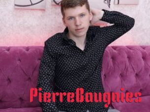 PierreBaugnies