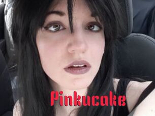 Pinkucake Video Extrait