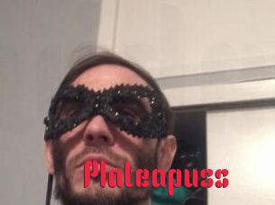 Plate_a_puss