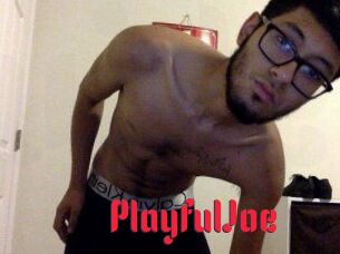 PlayfulJoe